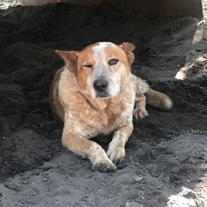 Meet your Posher, Valerie